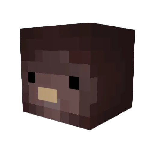 Brentvdp1 Minecraft avatar head, 3D render