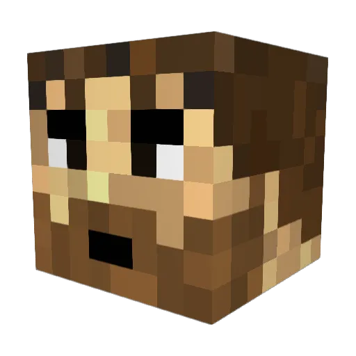 Brentwowo Minecraft avatar head, 3D render