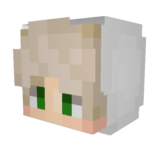 Brenz04 Minecraft avatar head, 3D render