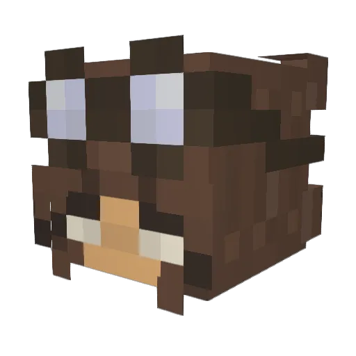 BretHecker Minecraft avatar head, 3D render