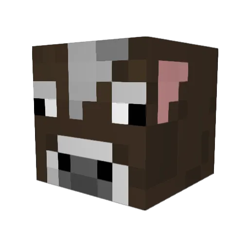 BrettR345 Minecraft avatar head, 3D render