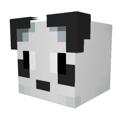 Brettray713 Minecraft avatar head, 3D render