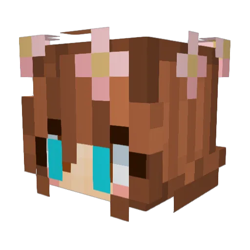Breuer12 Minecraft avatar head, 3D render