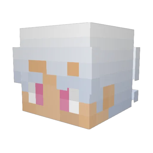 BrevisXD Minecraft avatar head, 3D render