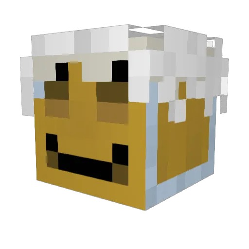 BrewBot6 Minecraft avatar head, 3D render