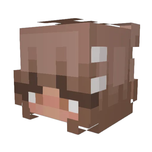 BrewCrewGirl24 Minecraft avatar head, 3D render