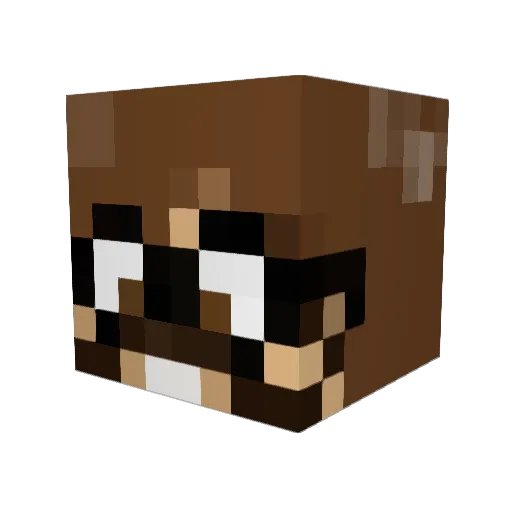 Brewyer Minecraft avatar head, 3D render