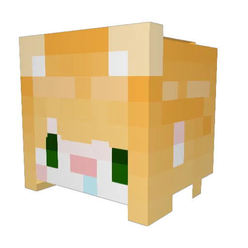 Brex_one Minecraft avatar head, 3D render