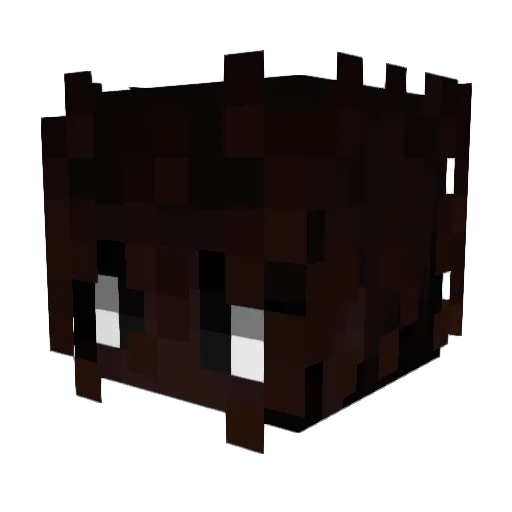 Breyana1 Minecraft avatar head, 3D render