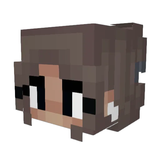 Breyeezy Minecraft avatar head, 3D render