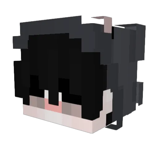 Brezlteppich Minecraft avatar head, 3D render