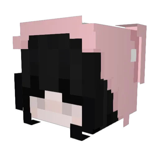 Brhisa Minecraft avatar head, 3D render