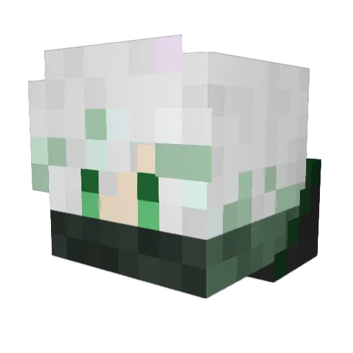 Bri118 Minecraft avatar head, 3D render