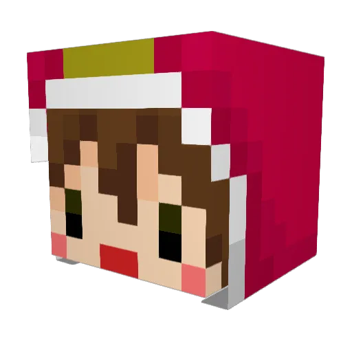 Bri2U Minecraft avatar head, 3D render