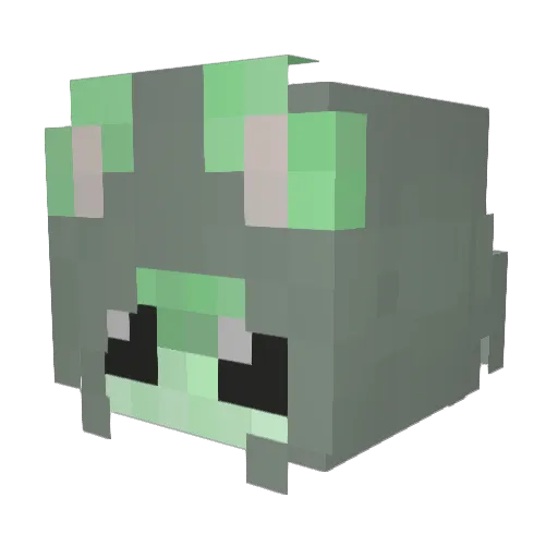 Bri4r Minecraft avatar head, 3D render