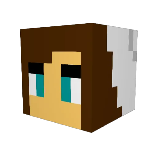 Bri7333 Minecraft avatar head, 3D render