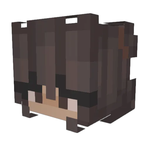 BriBriSky Minecraft avatar head, 3D render