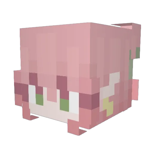 BriBunni Minecraft avatar head, 3D render