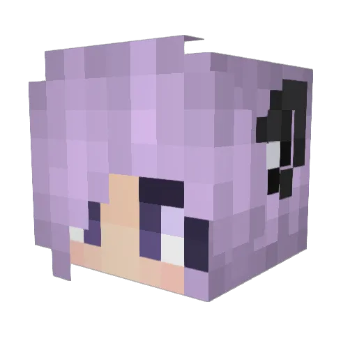 BriFry Minecraft avatar head, 3D render