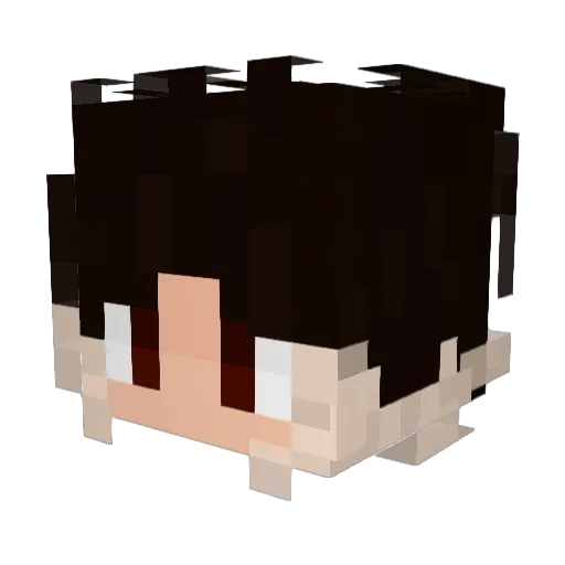 BriLizi Minecraft avatar head, 3D render