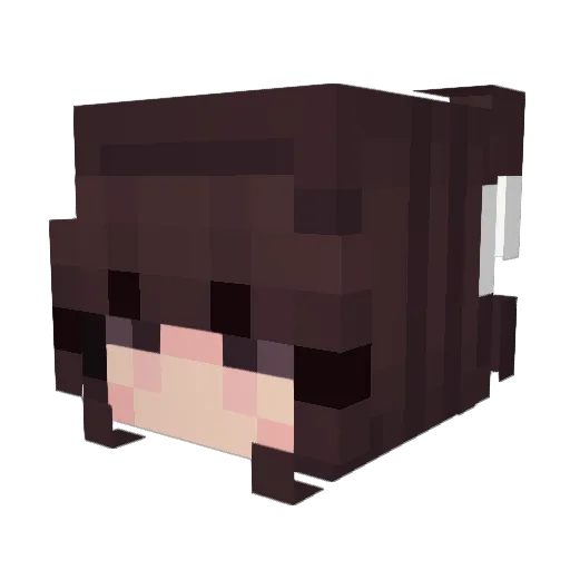 BriOnBlocks Minecraft avatar head, 3D render