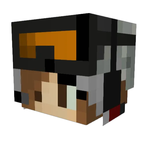 BriPlaysMC Minecraft avatar head, 3D render