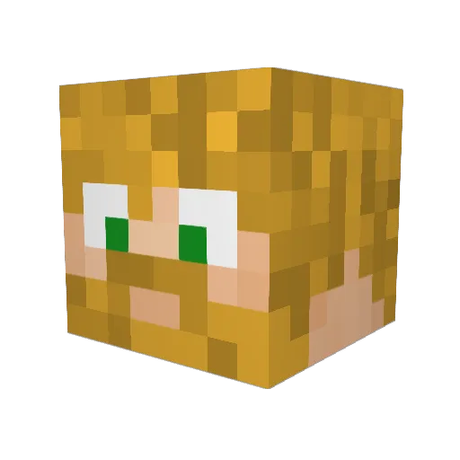 BriXe5 Minecraft avatar head, 3D render