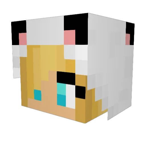 Bria2567 Minecraft avatar head, 3D render