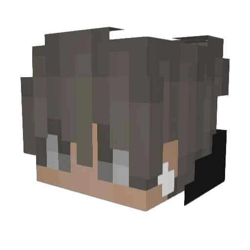 Brian00712 Minecraft avatar head, 3D render