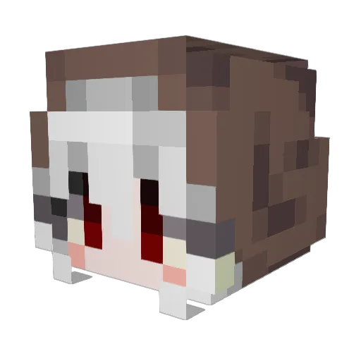 Brian0806 Minecraft avatar head, 3D render