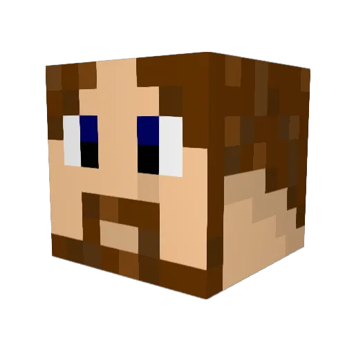 Brian1900 Minecraft avatar head, 3D render