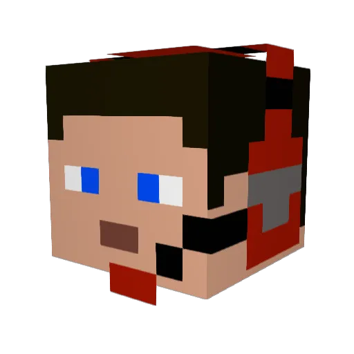 Brian201125 Minecraft avatar head, 3D render