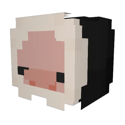 BrianAnthony Minecraft avatar head, 3D render