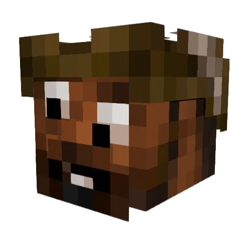 BrianDog070 Minecraft avatar head, 3D render