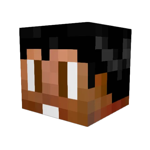 BrianGamer1132 Minecraft avatar head, 3D render
