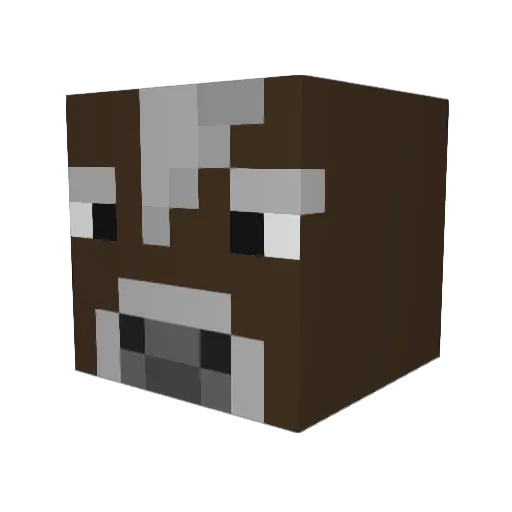 BrianLang Minecraft avatar head, 3D render