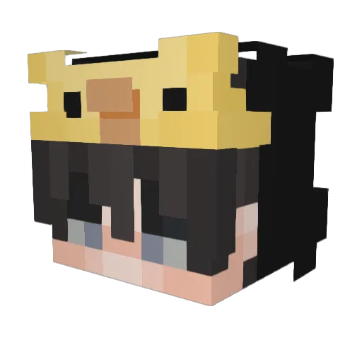 BrianS3npa1 Minecraft avatar head, 3D render