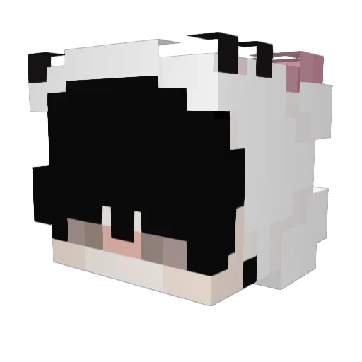 BrianSedano Minecraft avatar head, 3D render