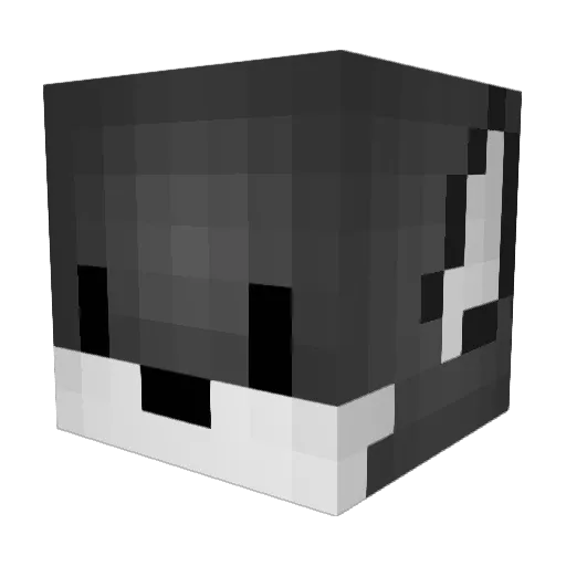 BrianTS Minecraft avatar head, 3D render