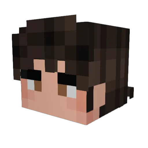 BrianVillz Minecraft avatar head, 3D render