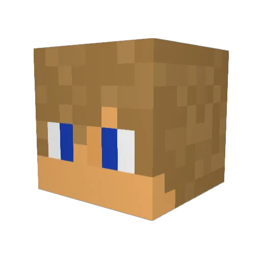 Brian_Bishop Minecraft avatar head, 3D render