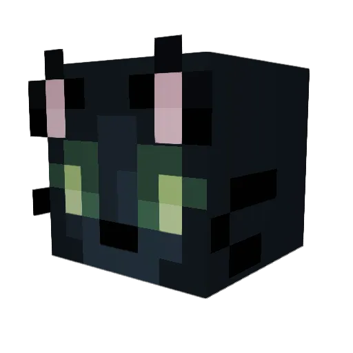 Brian_No_Brain Minecraft avatar head, 3D render