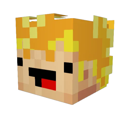 Brian_Roberts Minecraft avatar head, 3D render