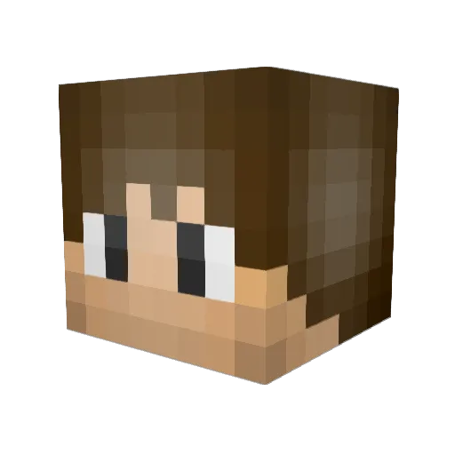 Brian_Taylor Minecraft avatar head, 3D render