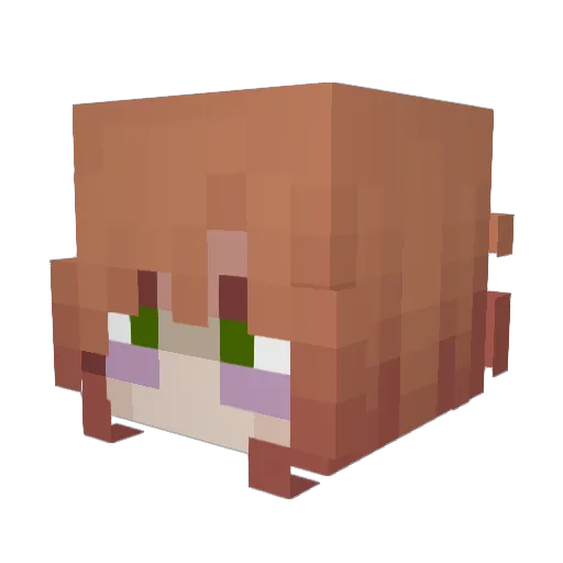 BrianaCrafte Minecraft avatar head, 3D render