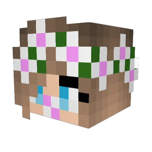 Briana_bubble Minecraft avatar head, 3D render