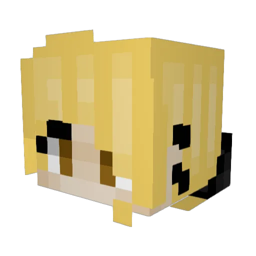 Brianal Minecraft avatar head, 3D render