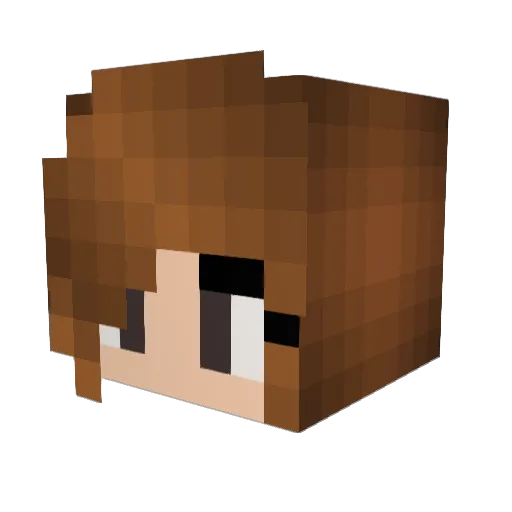 Brianbby Minecraft avatar head, 3D render
