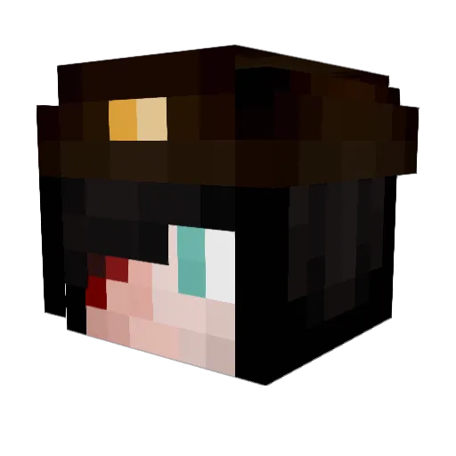 Brianheriot Minecraft avatar head, 3D render