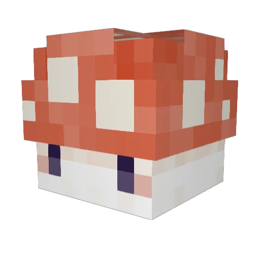 Brianic02 Minecraft avatar head, 3D render